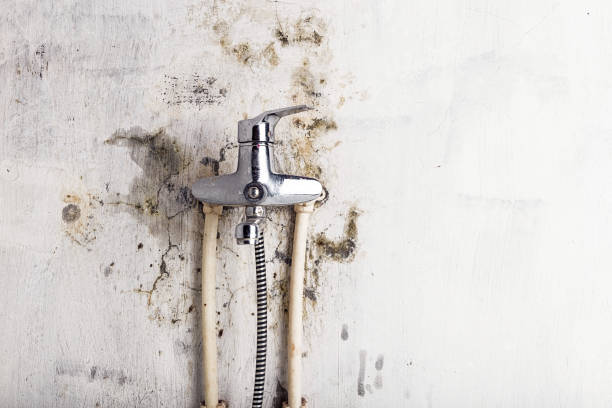 Reliable Rossmoyne, OH Mold Remediation Solutions