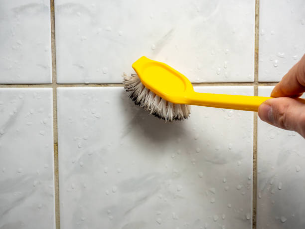 Best Mold Testing and Inspection Services in Rossmoyne, OH