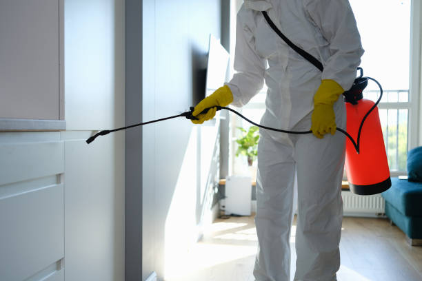 Best Post-Flood Mold Remediation in Rossmoyne, OH