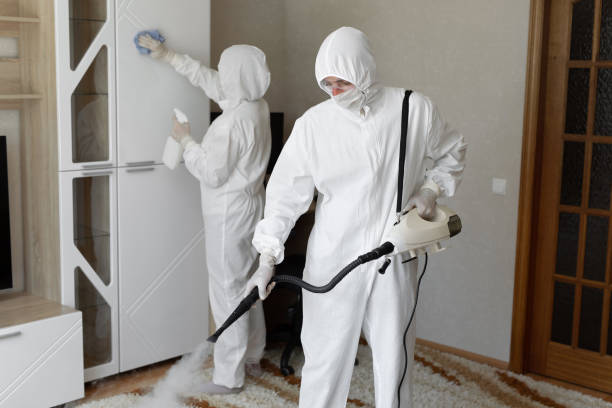 Best HVAC Mold Remediation in Rossmoyne, OH