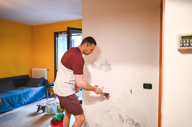 Best Post-Remediation Services in Rossmoyne, OH